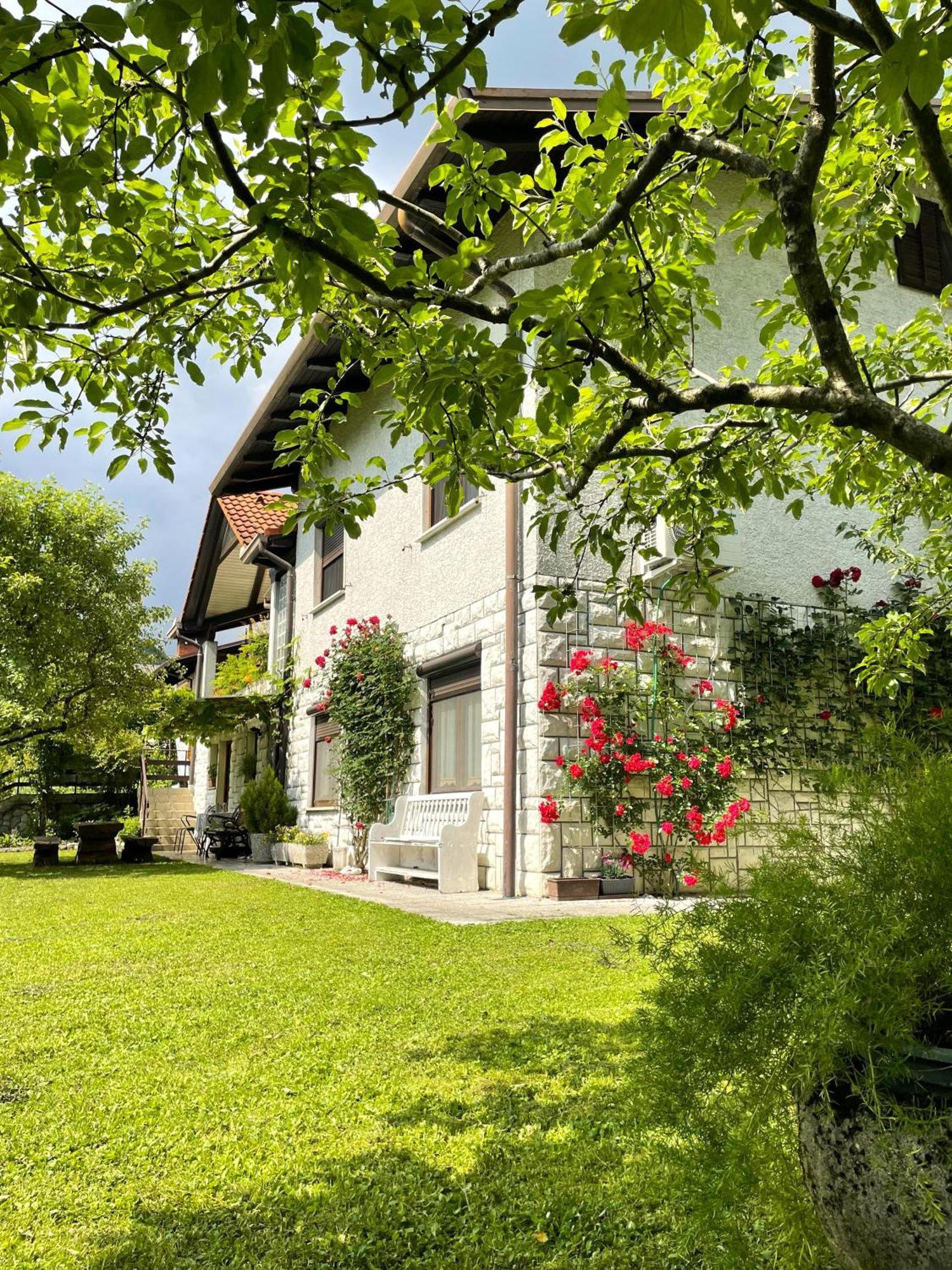 Apartma Savan Tolmin Exterior photo