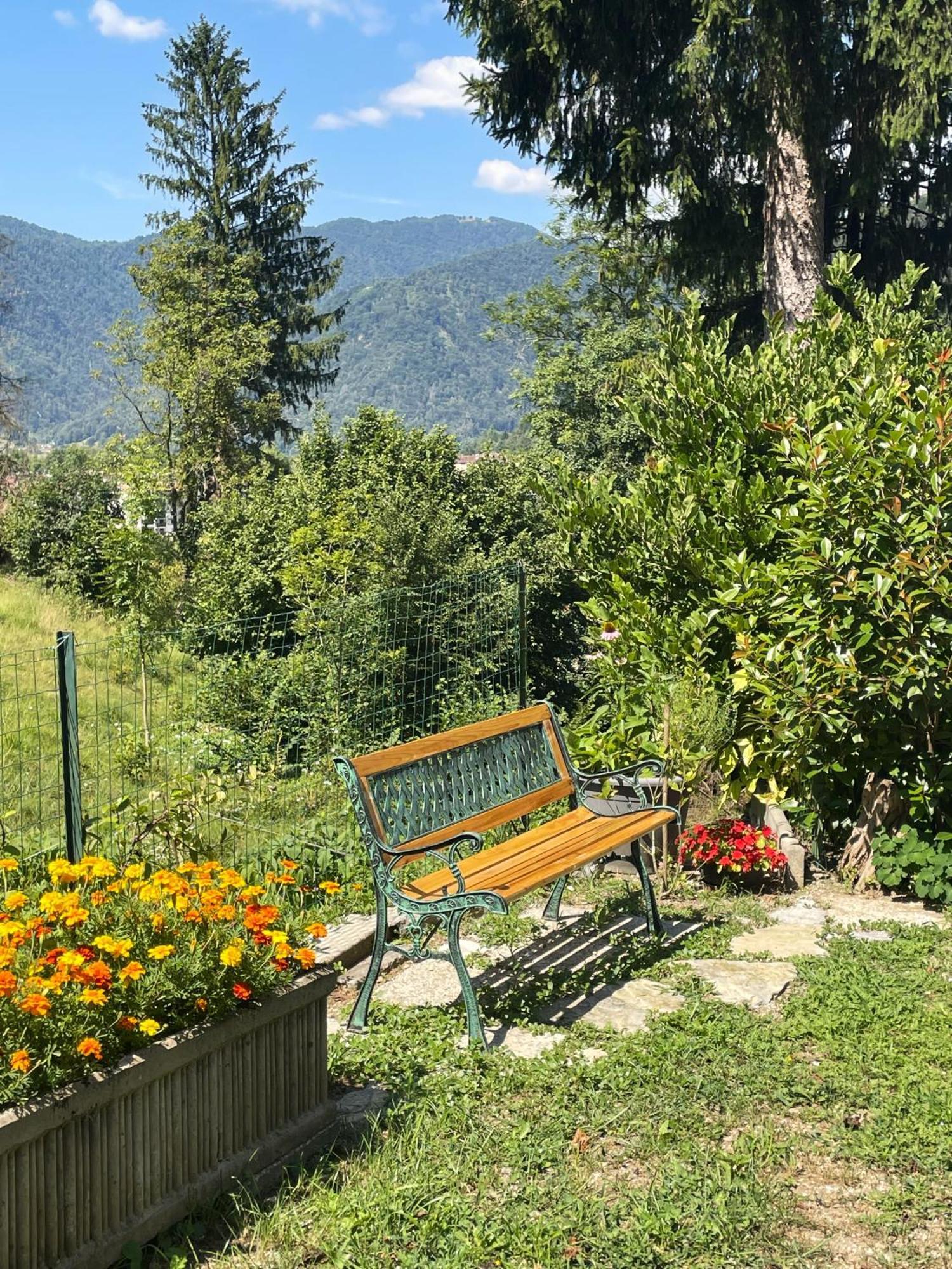 Apartma Savan Tolmin Exterior photo