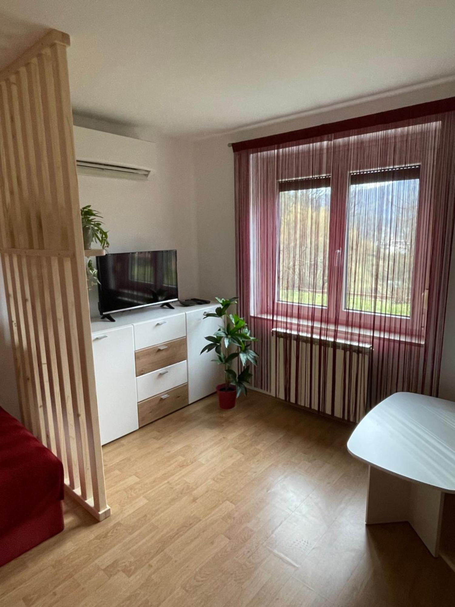 Apartma Savan Tolmin Exterior photo